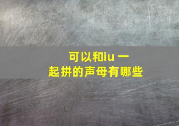 可以和iu 一起拼的声母有哪些